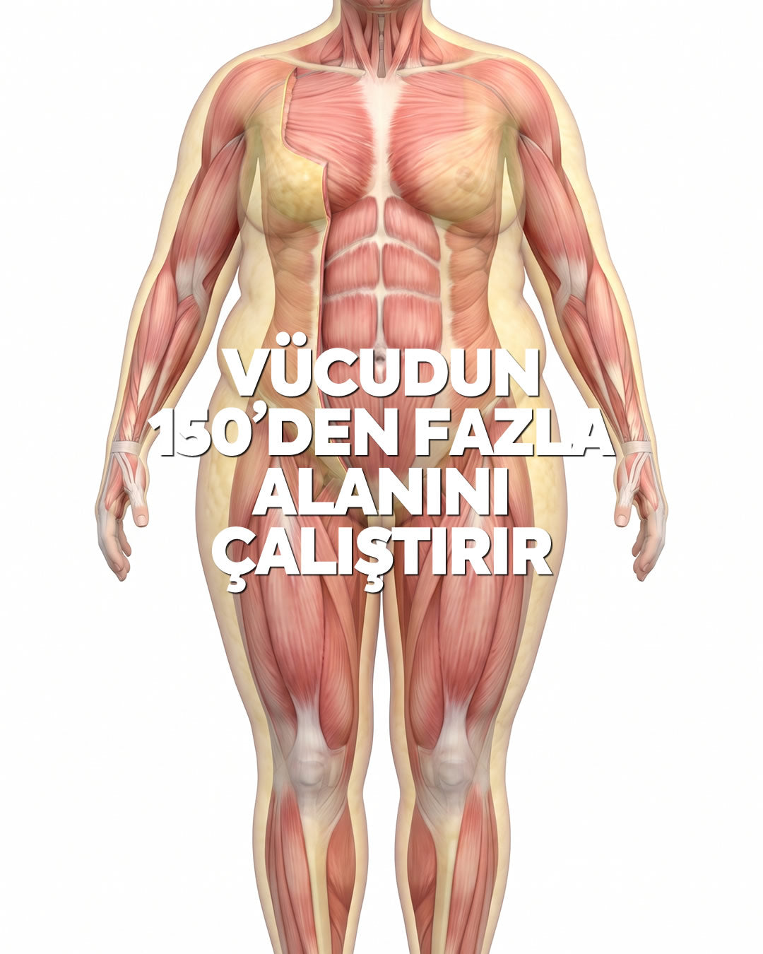 SPOR ALETİ