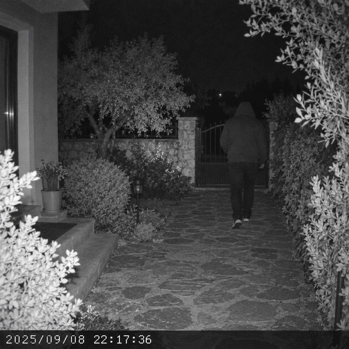 Kablosuz fotokapan — hareket algilayan gece kayit cihazi