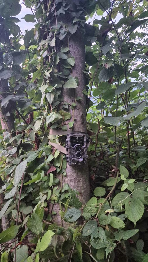 Kullanıcı fotoğrafı 15